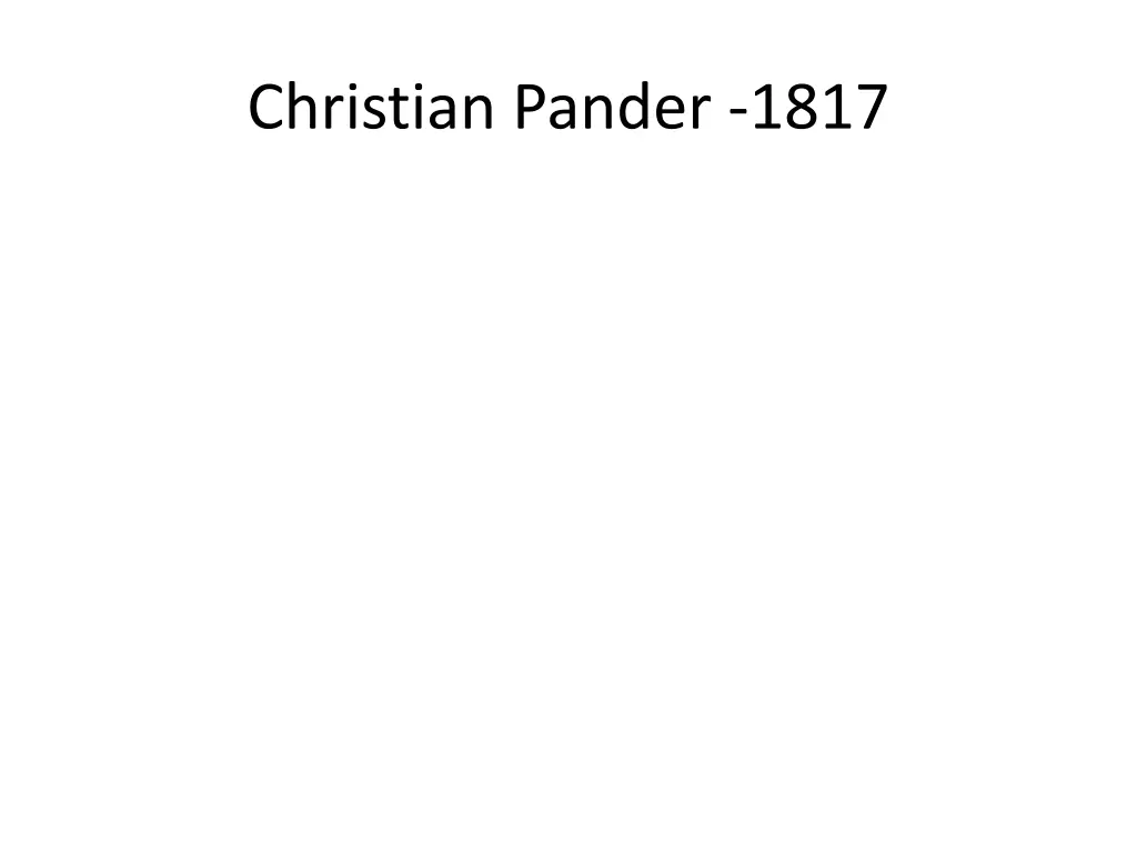 christian pander 1817