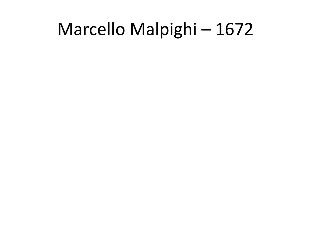 marcello malpighi 1672