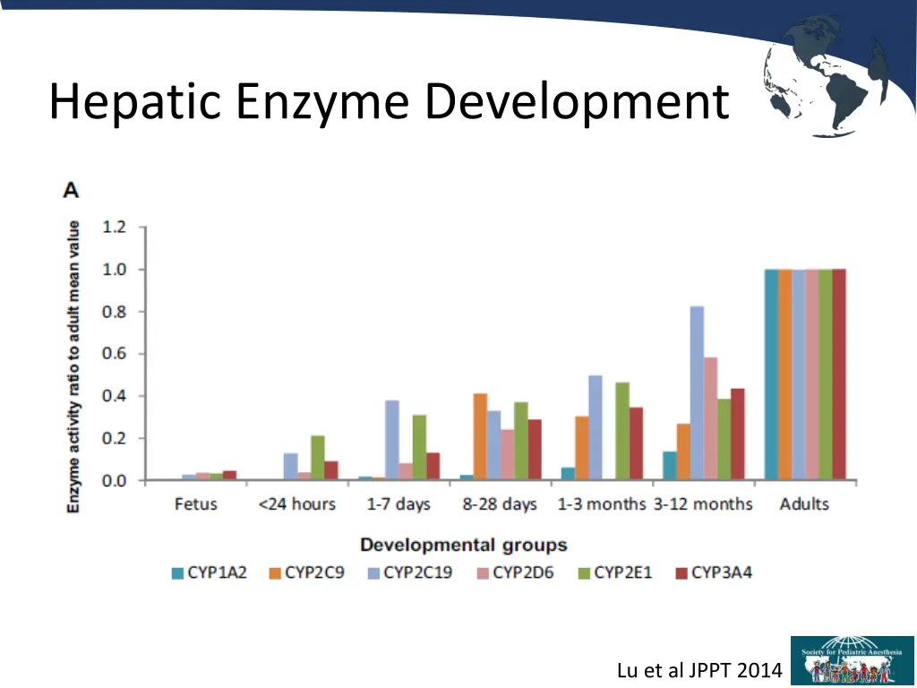 hepatic enzyme development