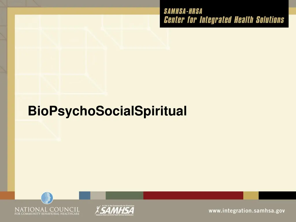 biopsychosocialspiritual