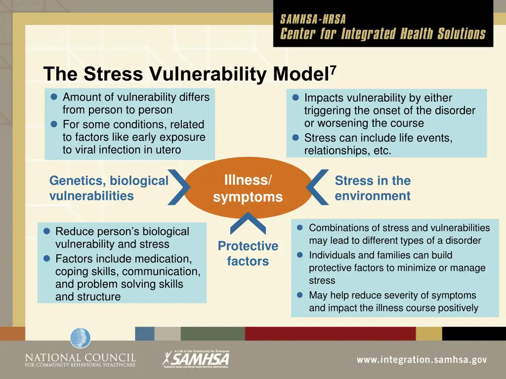 the stress vulnerability model 7 amount