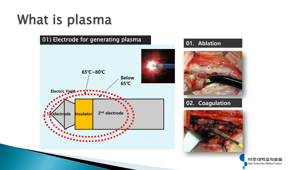 what is plasma