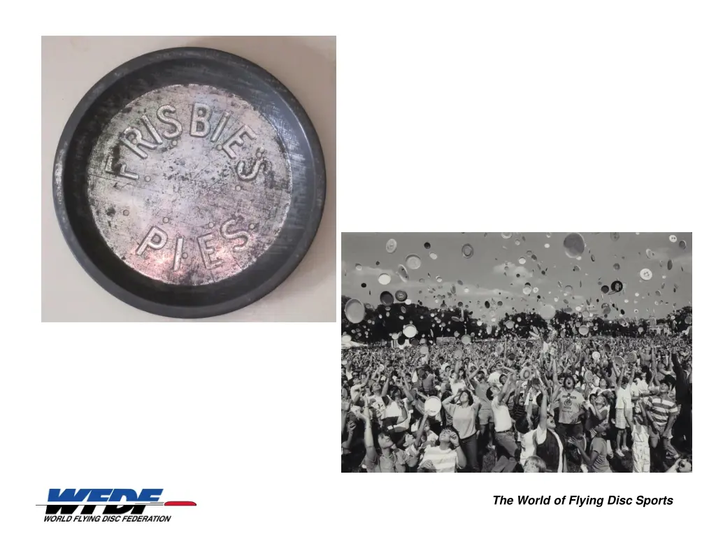 the world of flying disc sports 1