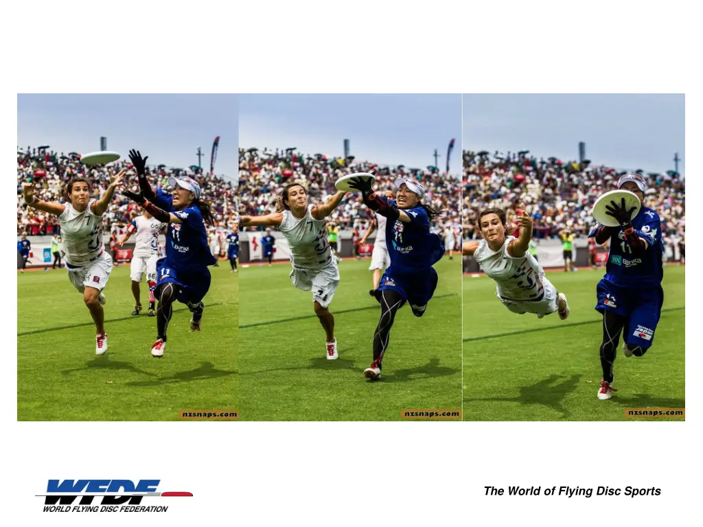 the world of flying disc sports