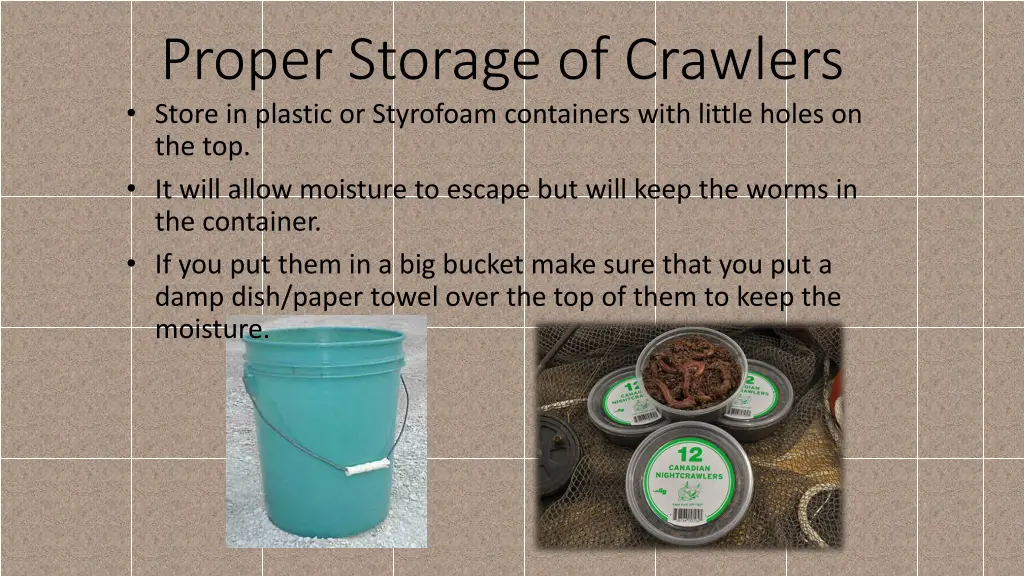 proper storage of crawlers store in plastic