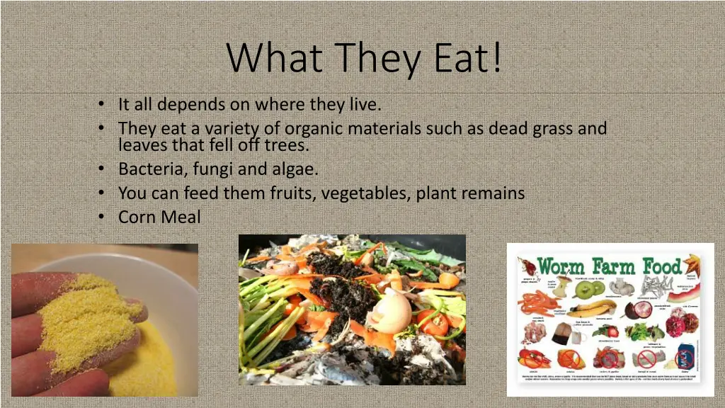 what they eat it all depends on where they live