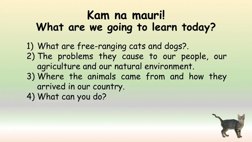 kam na mauri