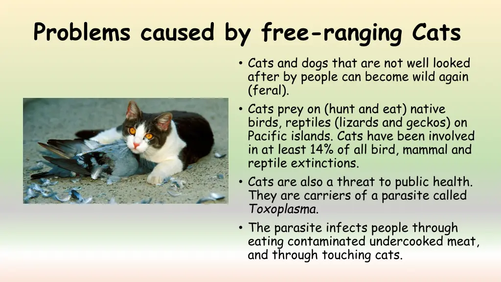 problems caused by free ranging cats