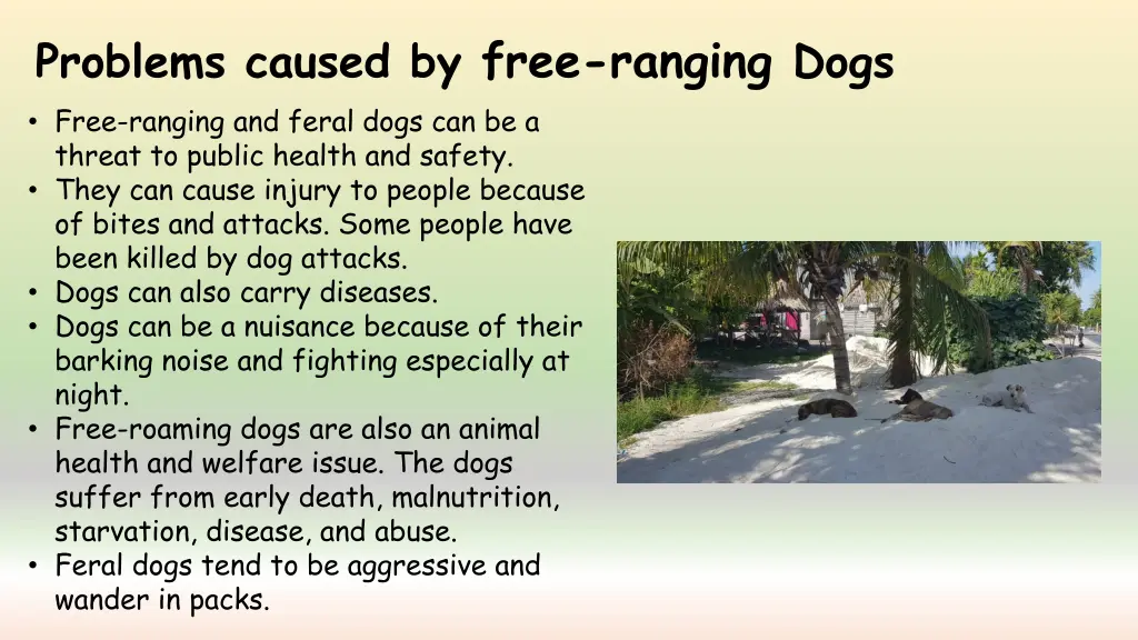 problems caused by free ranging dogs free ranging