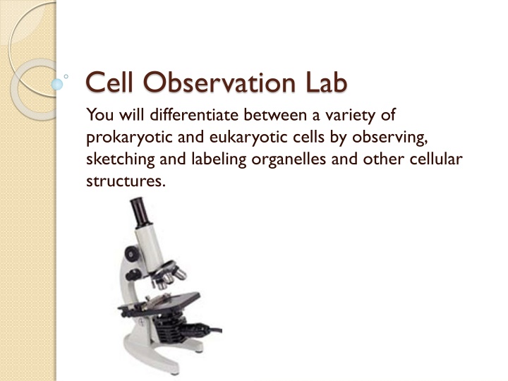 cell observation lab you will differentiate