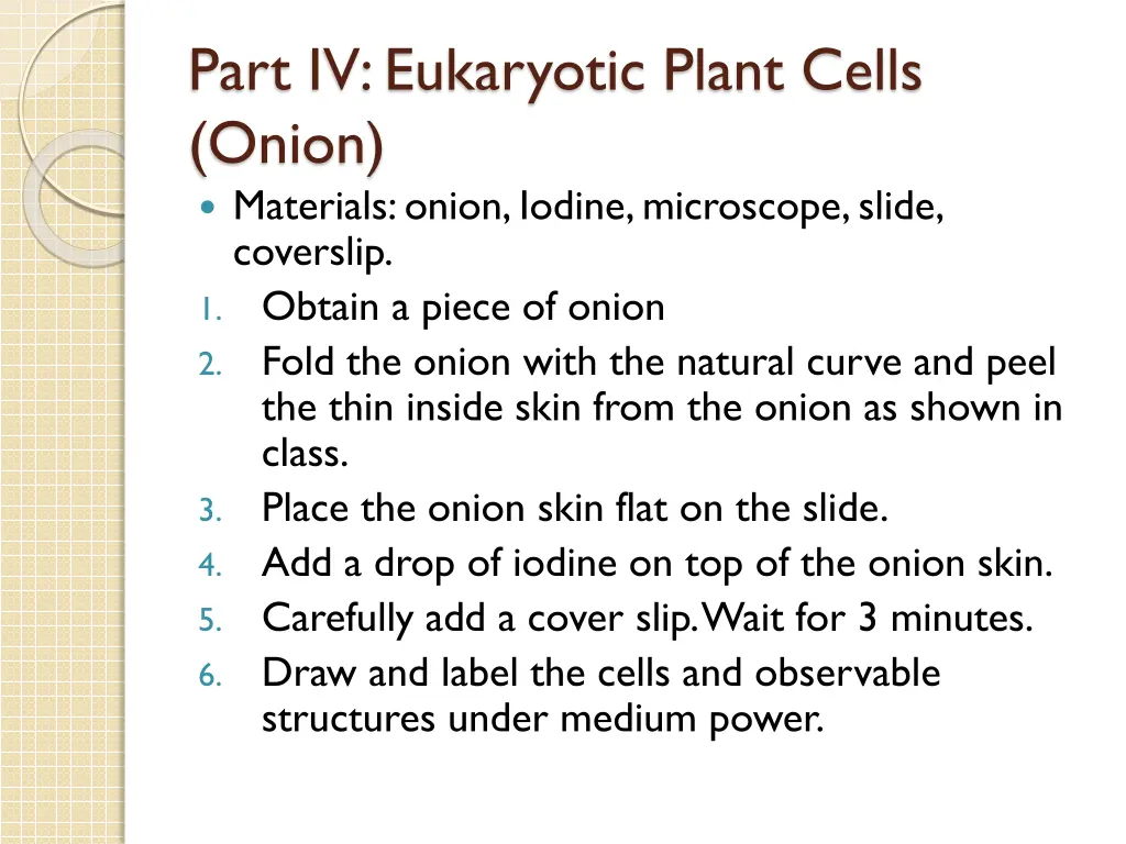 part iv eukaryotic plant cells onion