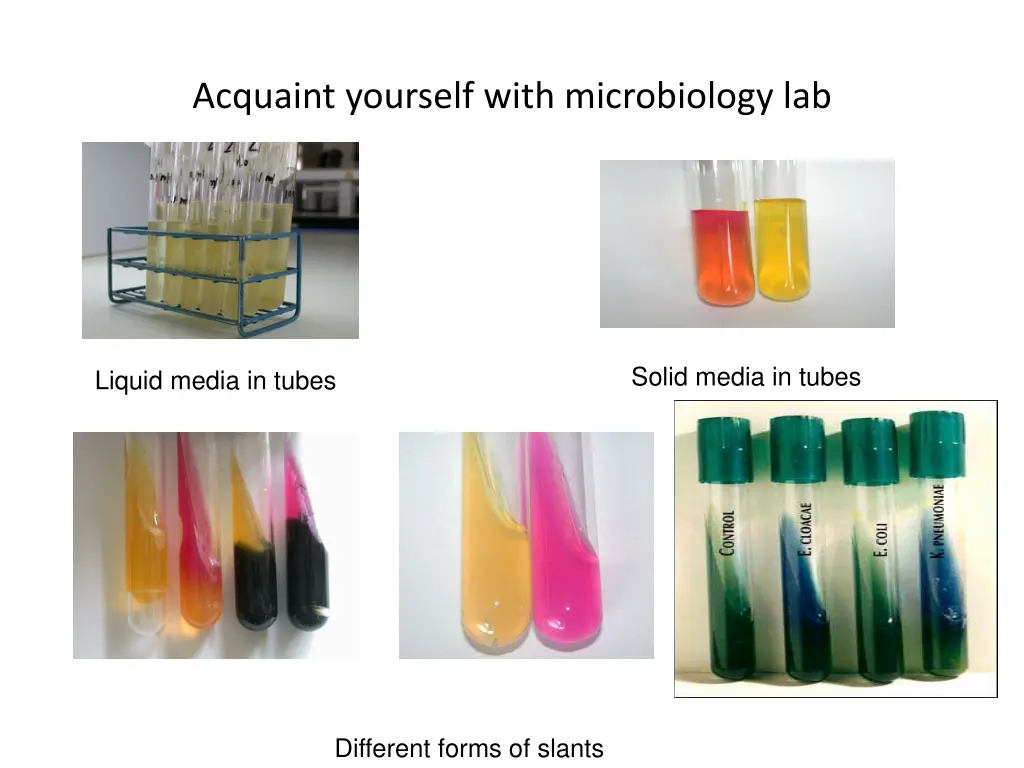 acquaint yourself with microbiology lab 1