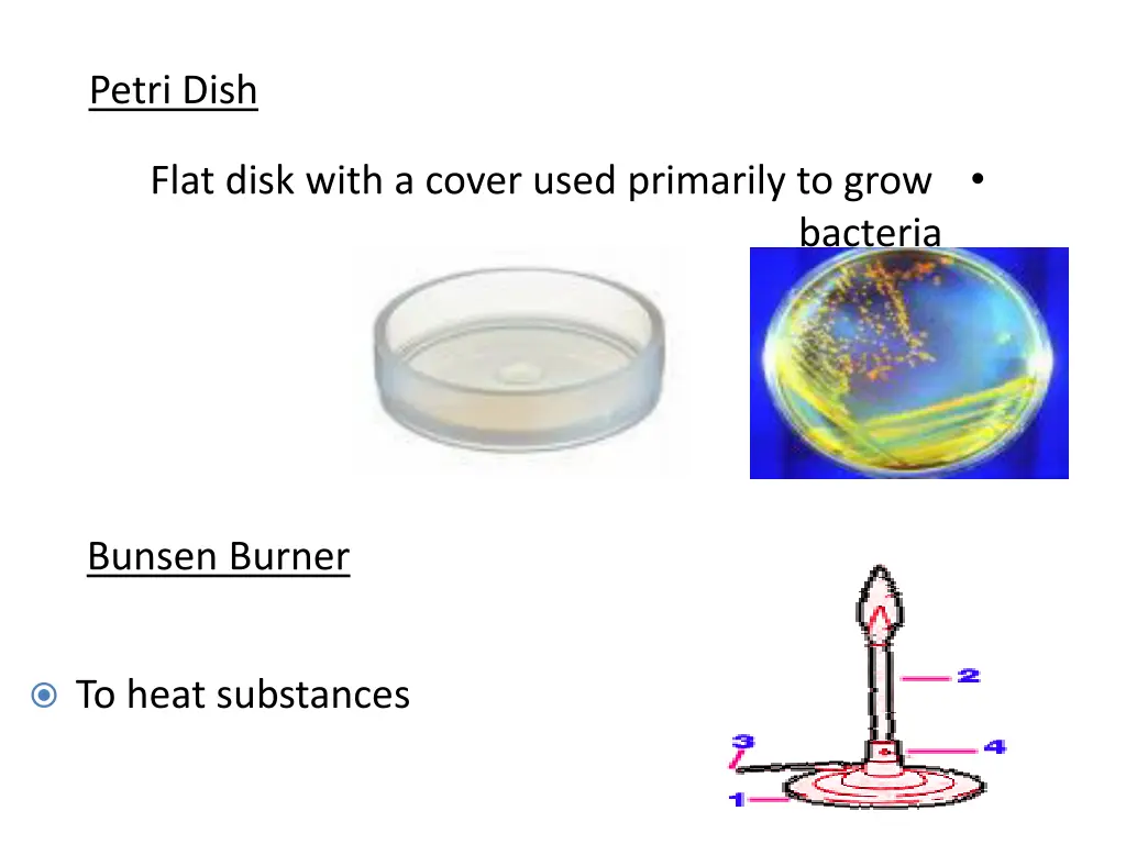 petri dish