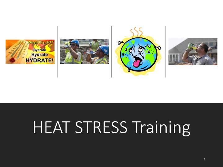 heat stress training