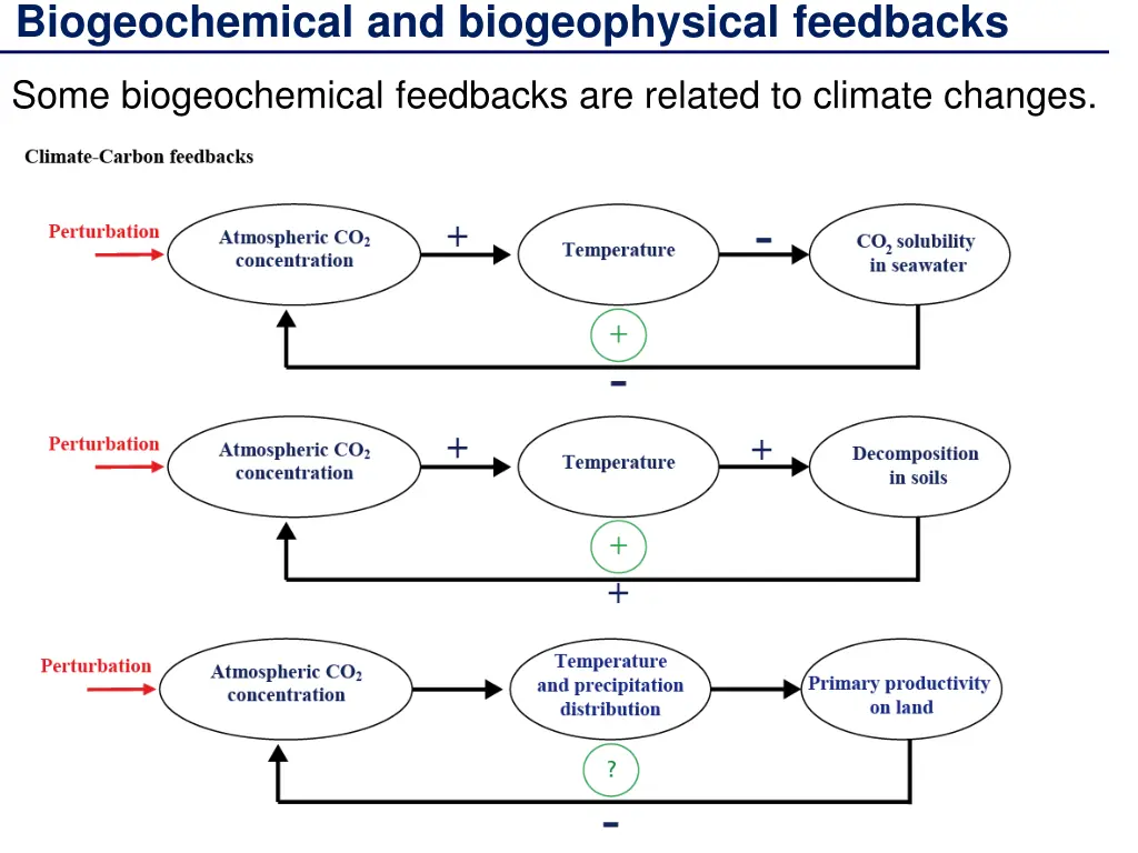 biogeochemical and biogeophysical feedbacks 1