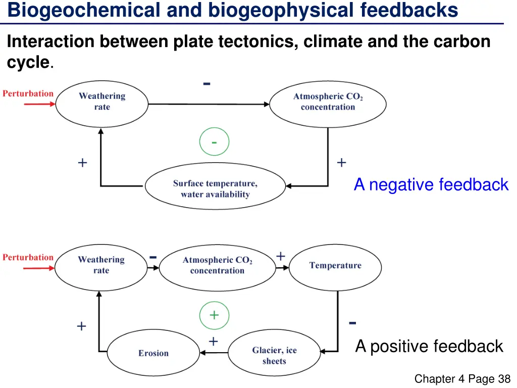 biogeochemical and biogeophysical feedbacks 10