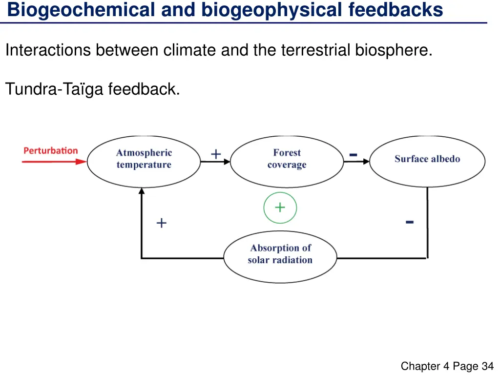 biogeochemical and biogeophysical feedbacks 6