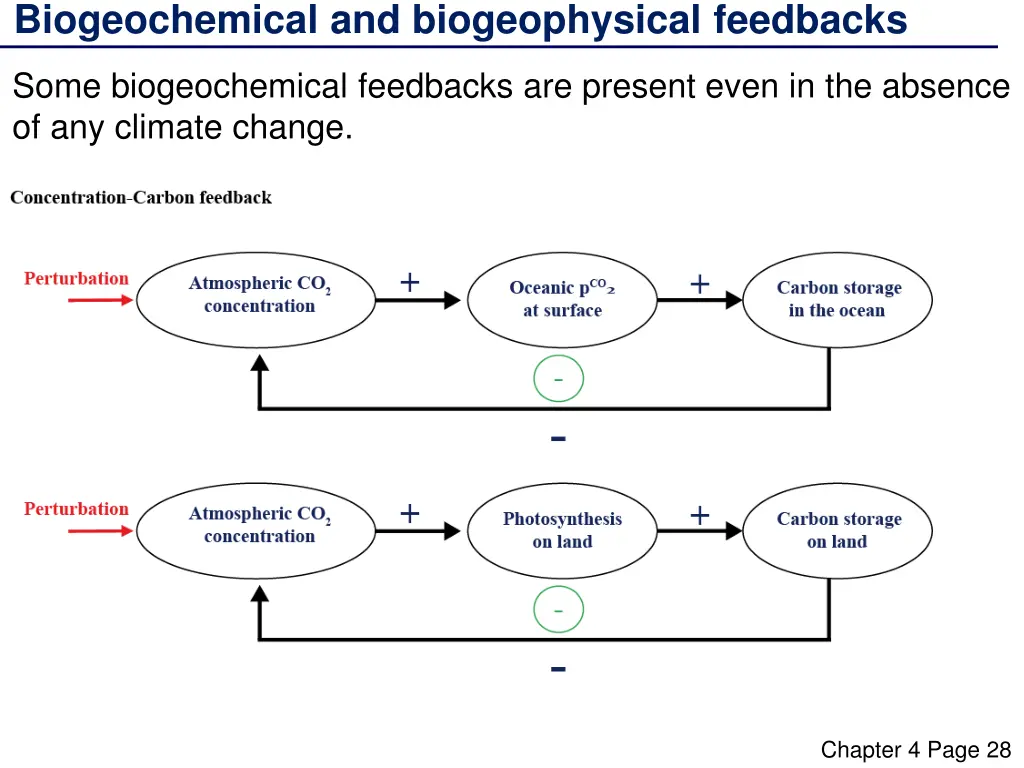 biogeochemical and biogeophysical feedbacks