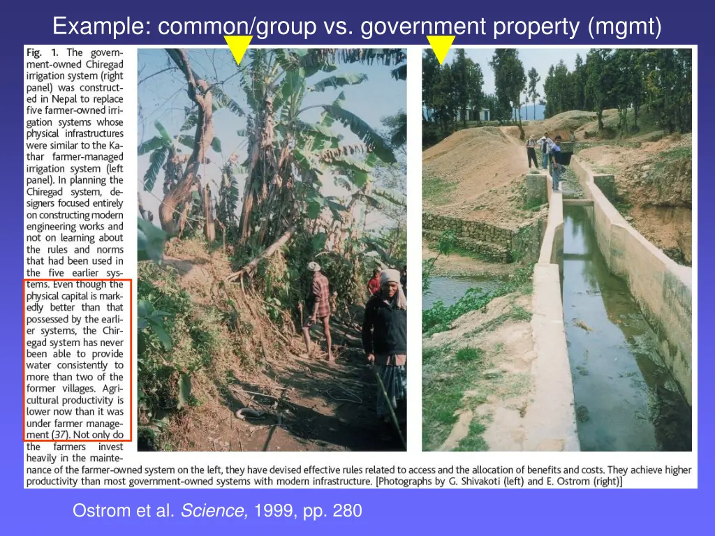 example common group vs government property mgmt