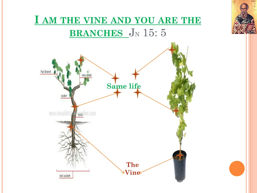 i am the vine and you are the branches j n 15 5