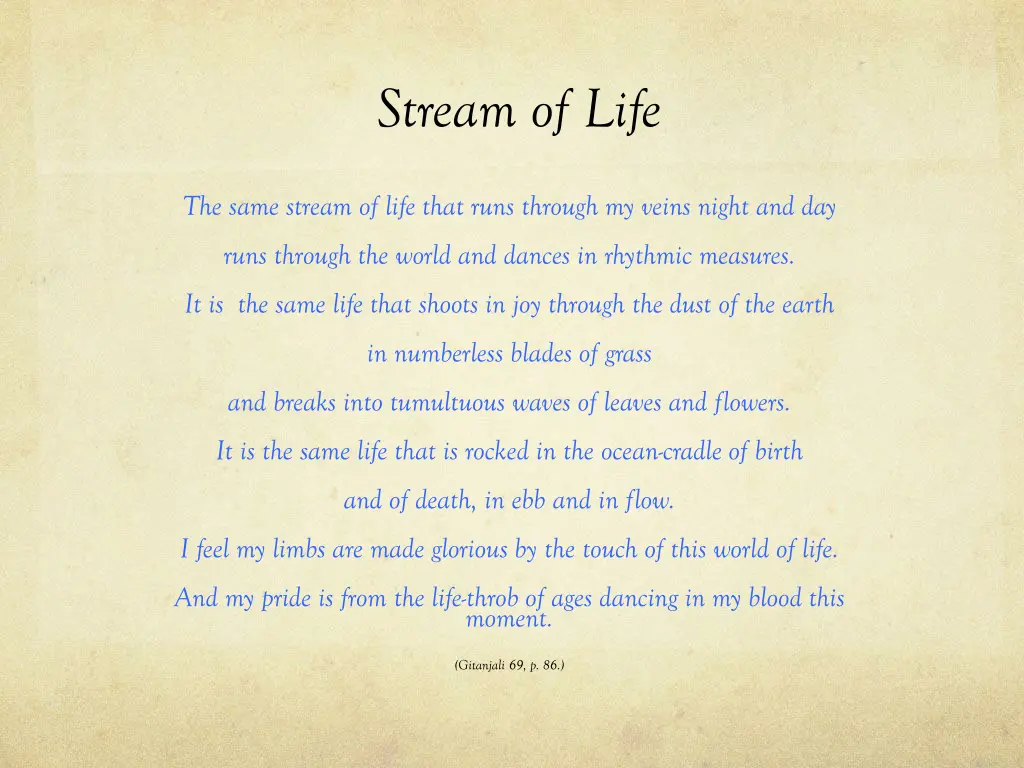 stream of life