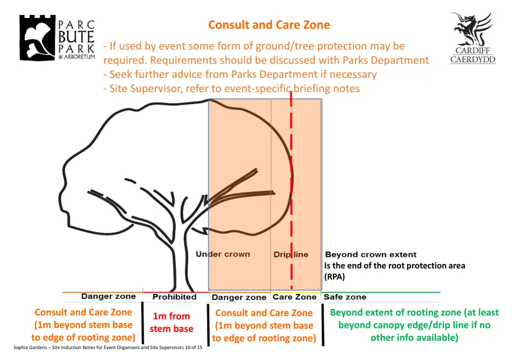 consult and care zone