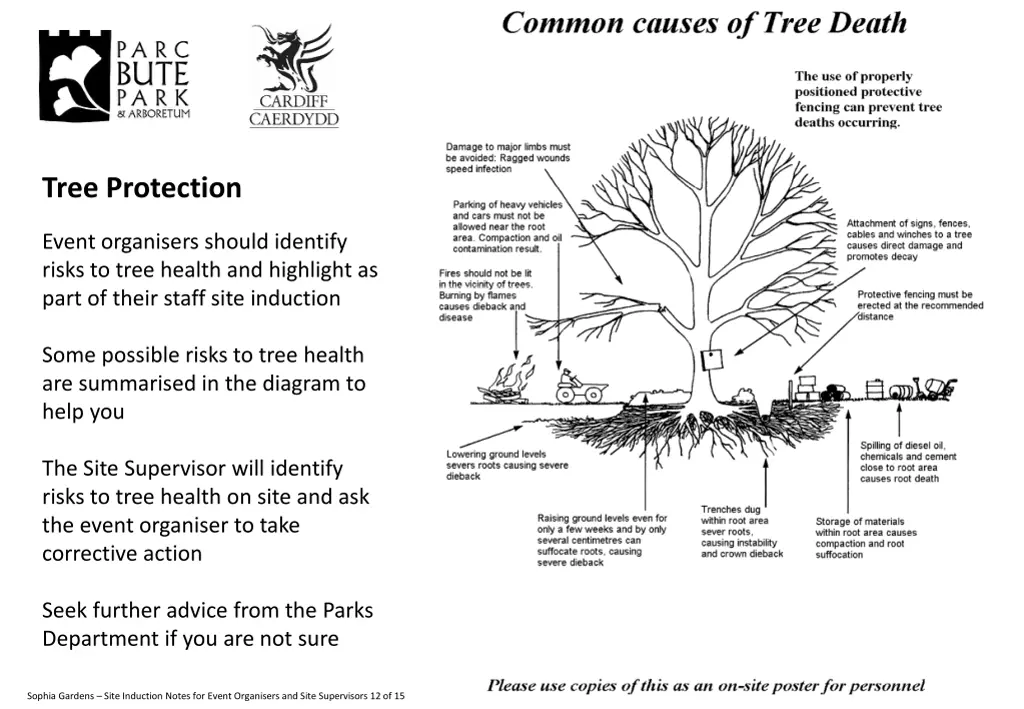 tree protection 1