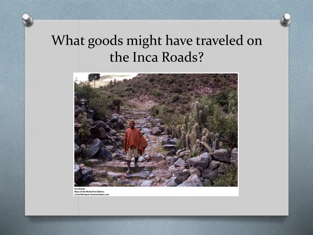 what goods might have traveled on the inca roads