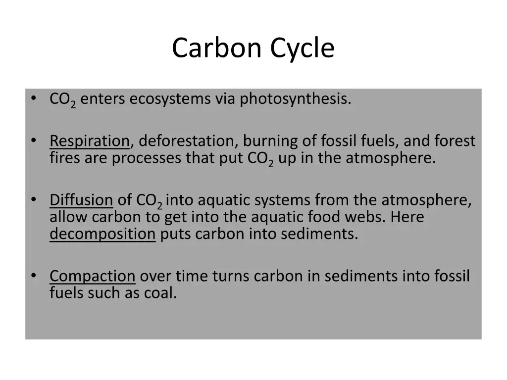 carbon cycle 2