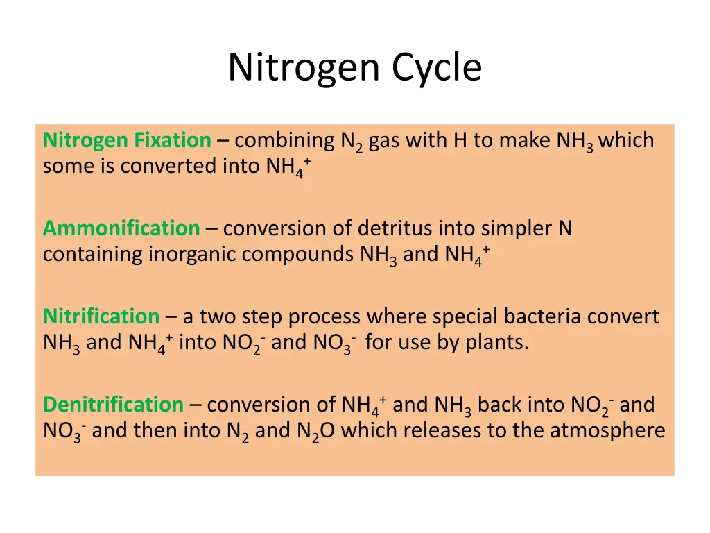 nitrogen cycle 2