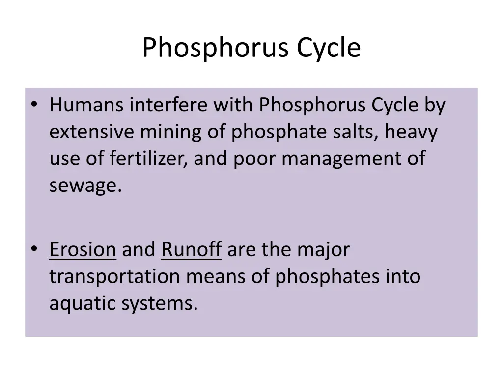 phosphorus cycle 2