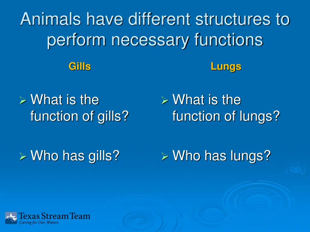 animals have different structures to perform