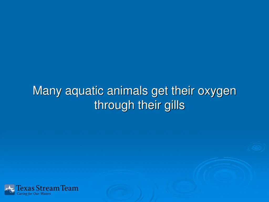 many aquatic animals get their oxygen through