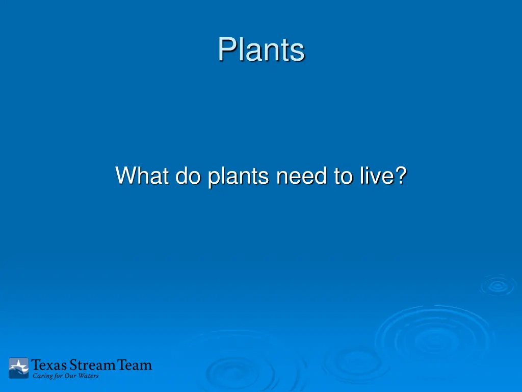 plants