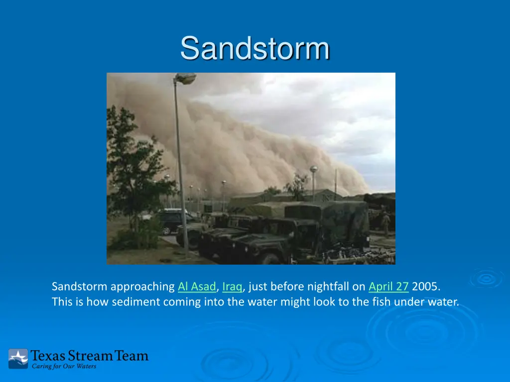 sandstorm