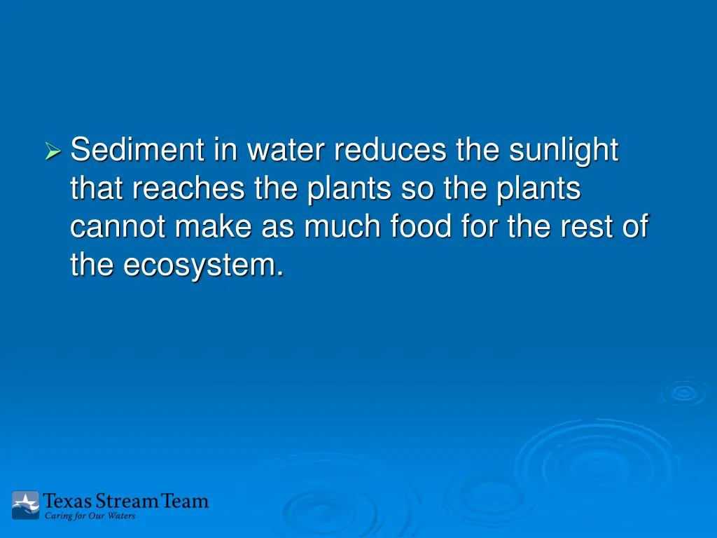 sediment in water reduces the sunlight that