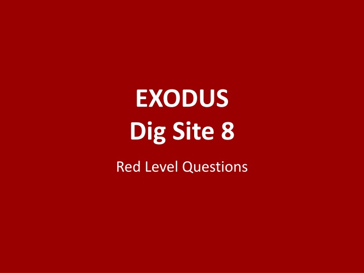 exodus dig site 8