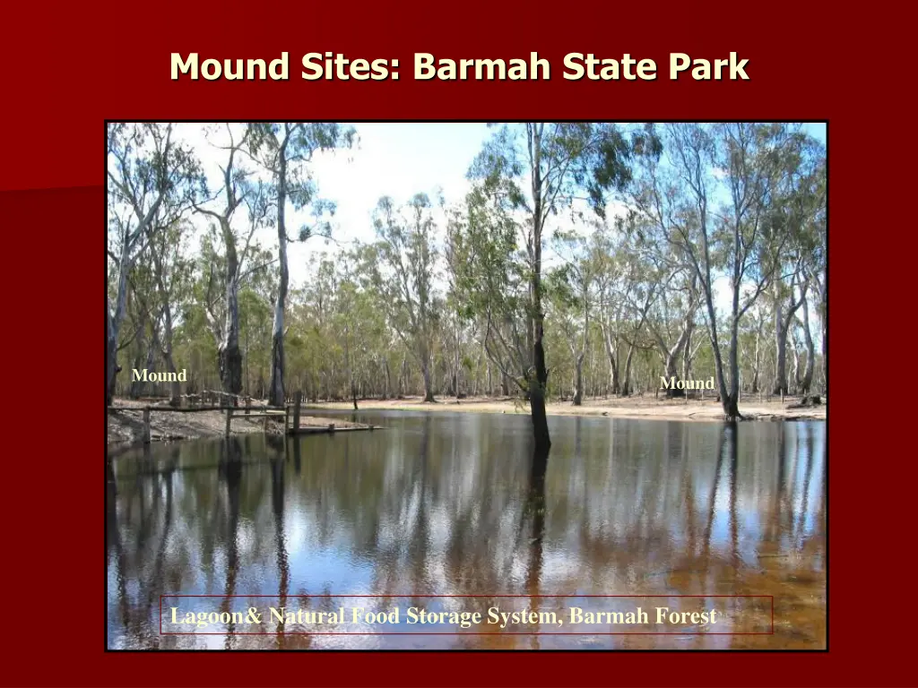 mound sites barmah state park