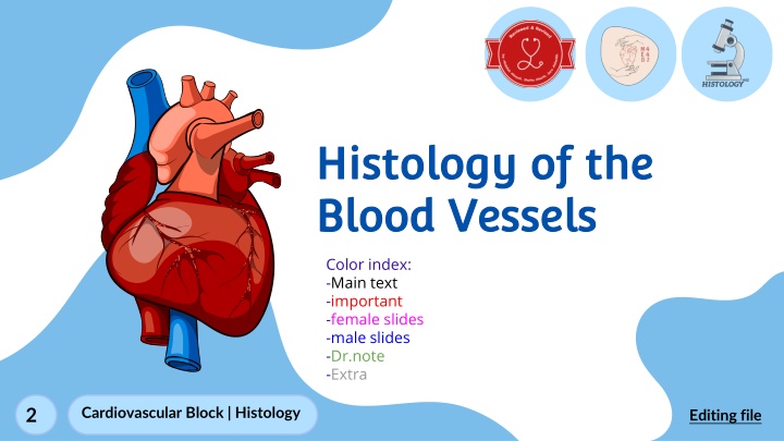 histology of the histology of the blood vessels