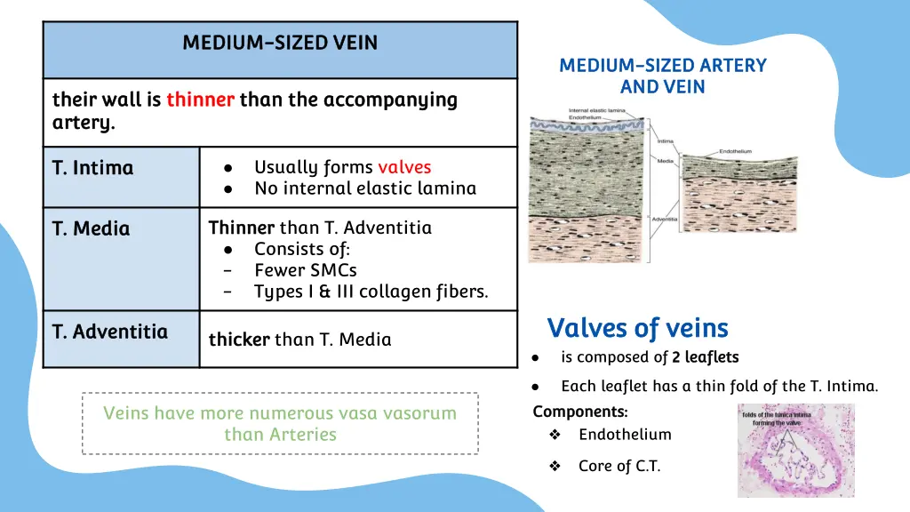 medium medium sized vein sized vein