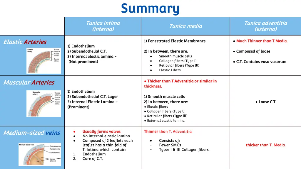 summary summary