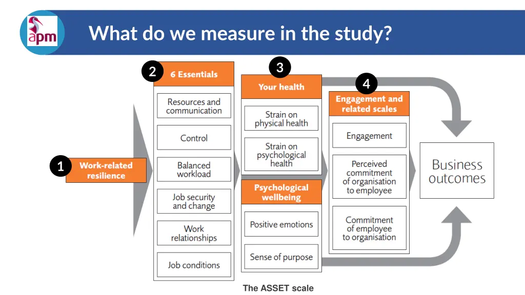 what do we measure in the study