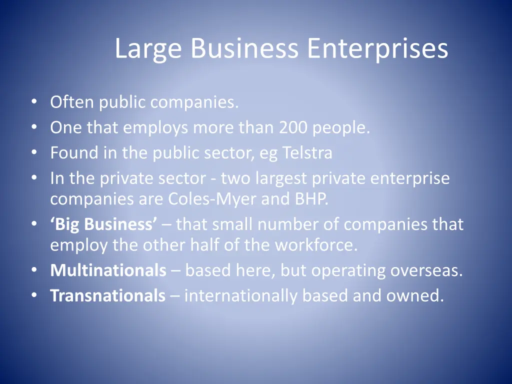 large business enterprises