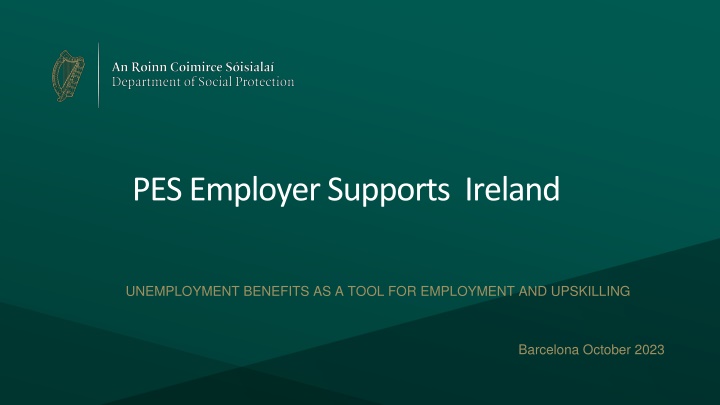 pes employer supports ireland