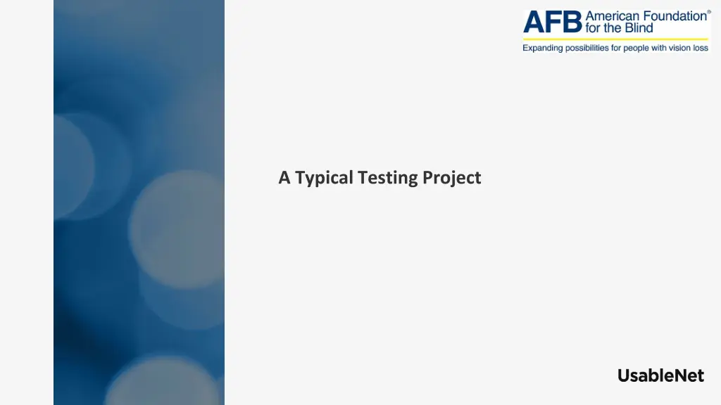 a typical testing project