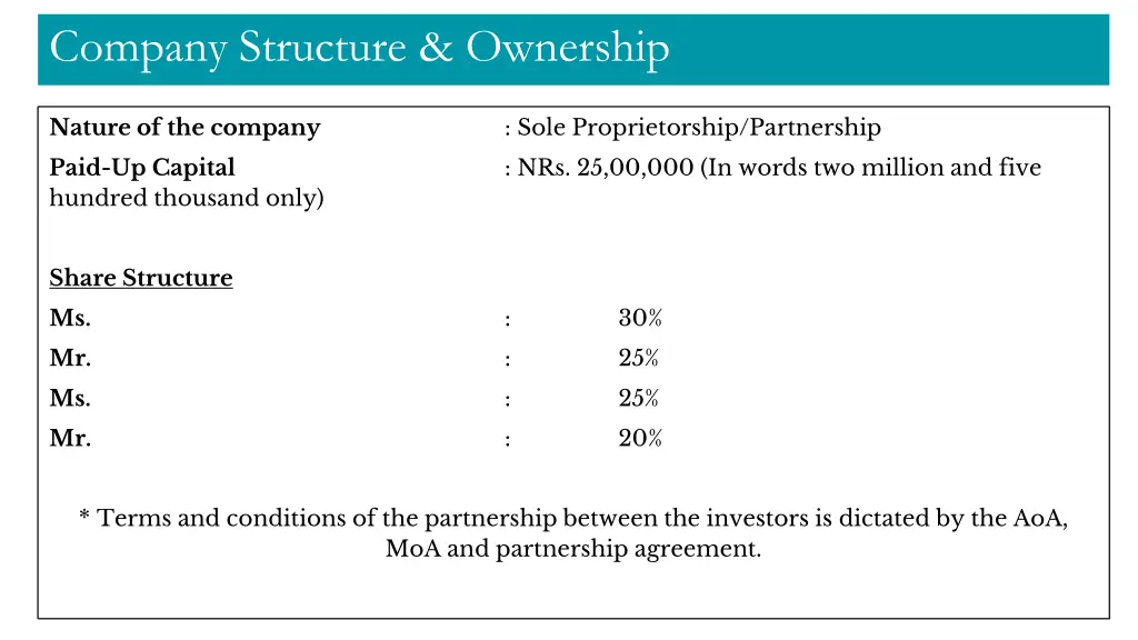 company structure ownership