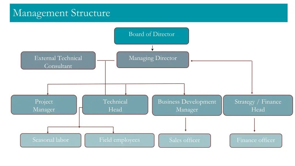 management structure