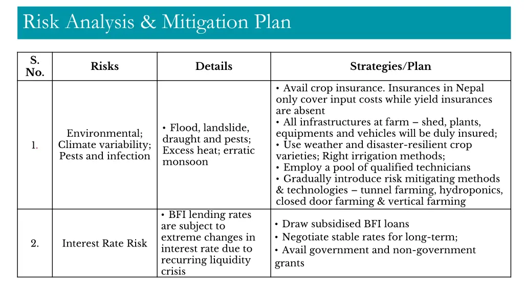 risk analysis mitigation plan