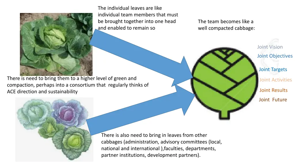 the individual leaves are like individual team