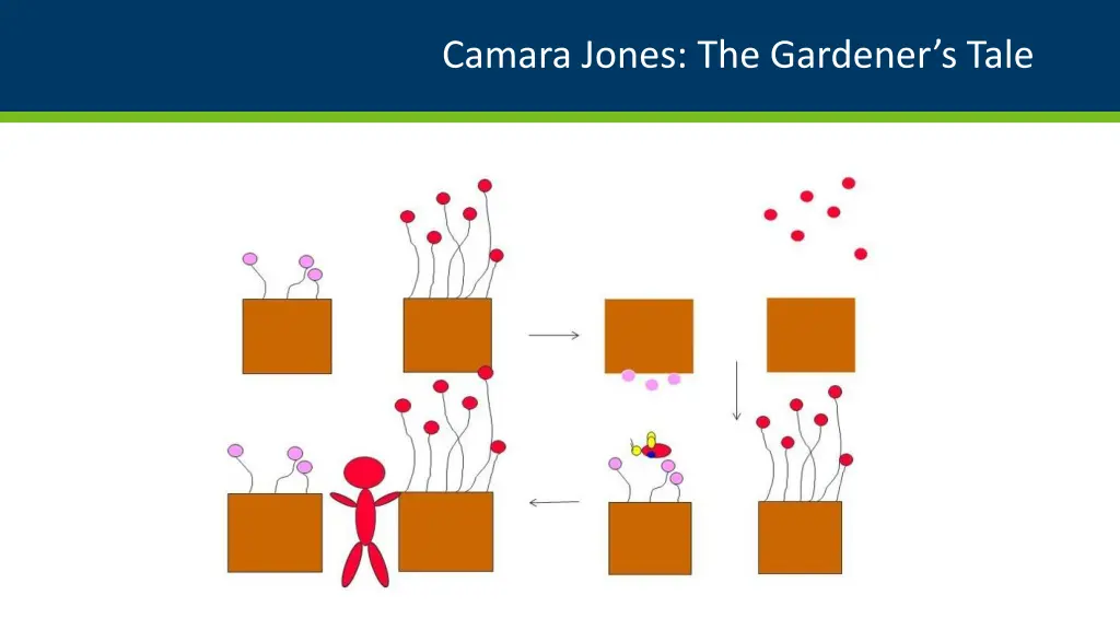 camara jones the gardener s tale